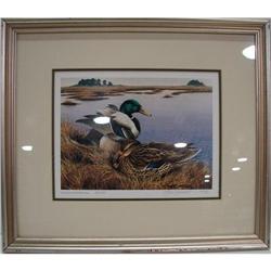 DON BRIDDELL DUCK PRINT