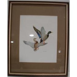 WILDFOWL PRINT