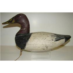 JAMES HOLLY CANVASBACK DECOY