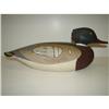Image 2 : EASTERN SHORE, VIRGINIA MERGANSER DECOY