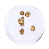 Image 1 : Lot of Gold Nuggets 1.87 grams Total Weight
