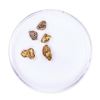 Image 1 : Lot of Gold Nuggets 2.27 grams Total Weight