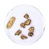 Image 1 : Lot of Gold Nuggets 3.35 grams Total Weight