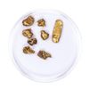 Image 2 : Lot of Gold Nuggets 3.35 grams Total Weight
