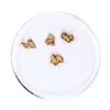Image 1 : Lot of Gold Nuggets 1.45 grams Total Weight