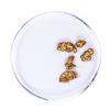 Image 1 : Lot of Gold Nuggets 2.35 grams Total Weight