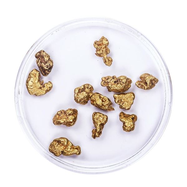 Lot of Gold Nuggets 7.20 grams Total Weight