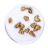 Image 2 : Lot of Gold Nuggets 7.20 grams Total Weight