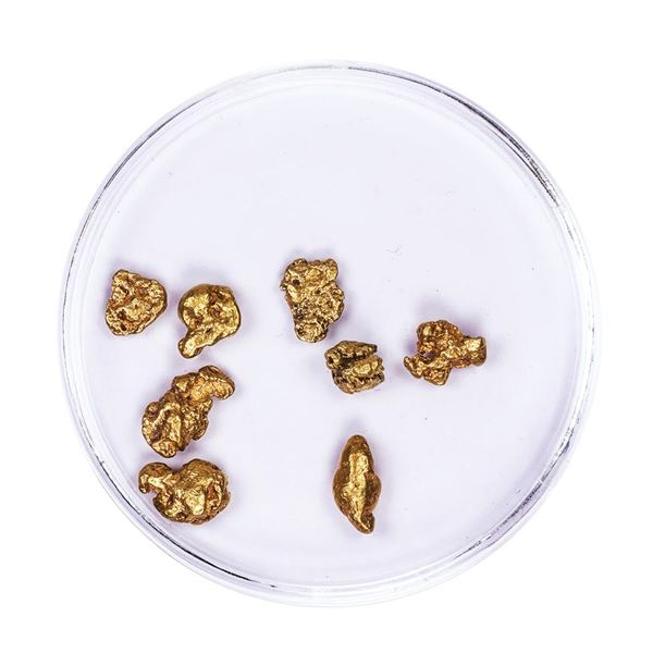 Lot of Gold Nuggets 3.57 grams Total Weight