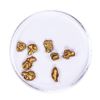 Image 1 : Lot of Gold Nuggets 3.57 grams Total Weight