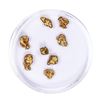 Image 2 : Lot of Gold Nuggets 3.57 grams Total Weight