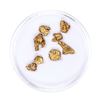 Image 2 : Lot of Gold Nuggets 2.70 grams Total Weight