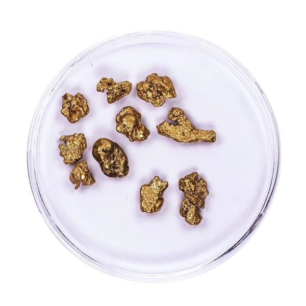 Lot of Gold Nuggets 4.62 grams Total Weight
