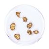 Image 1 : Lot of Gold Nuggets 3.73 grams Total Weight