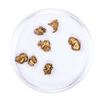 Image 2 : Lot of Gold Nuggets 3.73 grams Total Weight