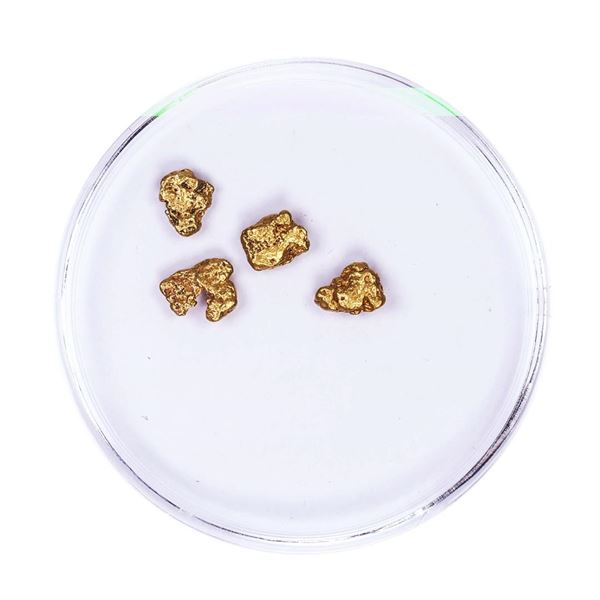Lot of Gold Nuggets 1.37 grams Total Weight
