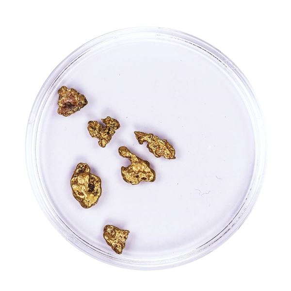 Lot of Gold Nuggets 2.39 grams Total Weight