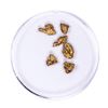 Image 2 : Lot of Gold Nuggets 2.39 grams Total Weight