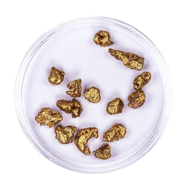 Lot of Gold Nuggets 7.22 grams Total Weight