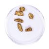 Image 2 : Lot of Gold Nuggets 3.02 grams Total Weight