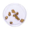 Image 2 : Lot of Gold Nuggets 3.35 grams Total Weight