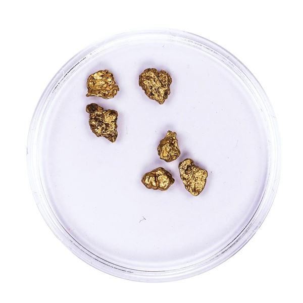 Lot of Gold Nuggets 1.69 grams Total Weight
