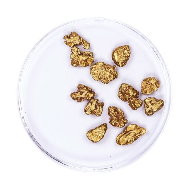 Lot of Gold Nuggets 4.85 grams Total Weight