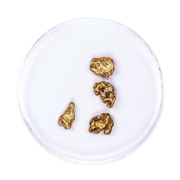 Lot of Gold Nuggets 2.41 grams Total Weight