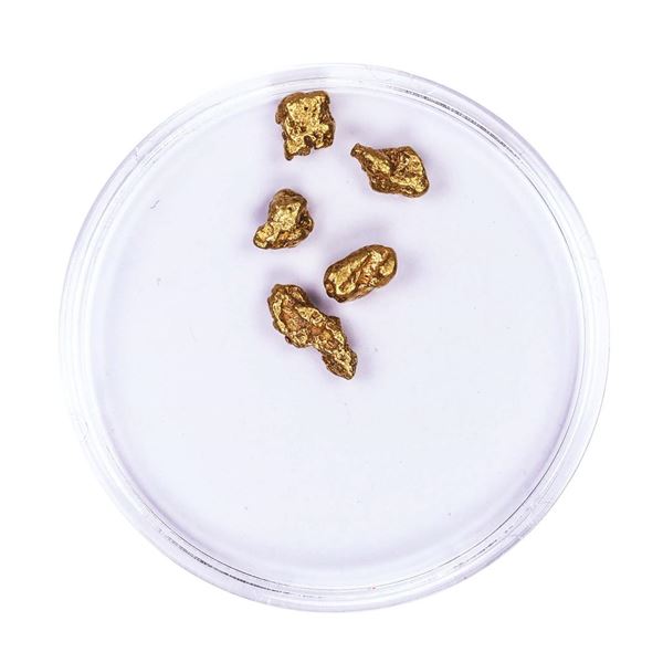 Lot of Gold Nuggets 2.54 grams Total Weight