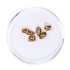 Image 2 : Lot of Gold Nuggets 2.54 grams Total Weight