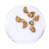 Image 1 : Lot of Gold Nuggets 3.28 grams Total Weight