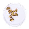Image 2 : Lot of Gold Nuggets 3.28 grams Total Weight