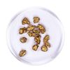 Image 1 : Lot of Gold Nuggets 5.50 grams Total Weight