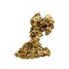 Image 2 : 10.44 Gram Gold Nugget