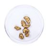 Image 1 : Lot of Gold Nuggets 4.33 grams Total Weight
