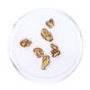 Image 1 : Lot of Gold Nuggets 2.48 grams Total Weight