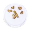 Image 2 : Lot of Gold Nuggets 2.35 grams Total Weight