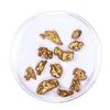 Image 2 : Lot of Gold Nuggets 6.81 grams Total Weight