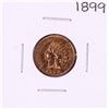Image 1 : 1899 Indian Head Cent Coin