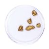 Image 1 : Lot of Gold Nuggets 1.76 grams Total Weight