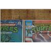 Image 3 : Teenage Mutant Ninja Turtles Comics