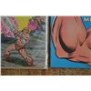 Image 2 : He-Man Comics
