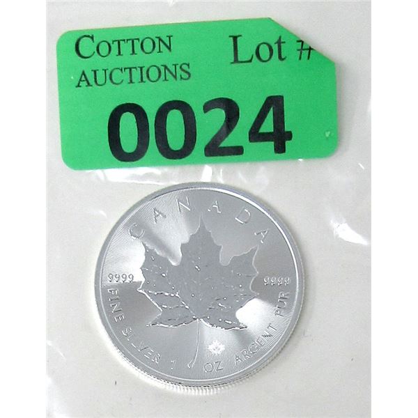 1 Oz .9999 Fine Silver 2020 Canada Maple Leaf Coin