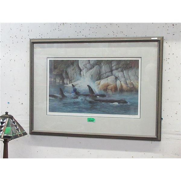 Marla Wilson 1/5 PP Framed Orca Print