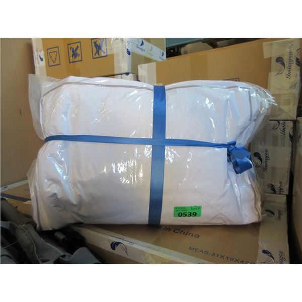 1 Package of 2 New Plush Queen Size Pillows