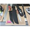 Image 1 : 2 New Knives with Sheaths