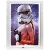 Image 1 : New Naked Storm Trooper Vinyl Poster