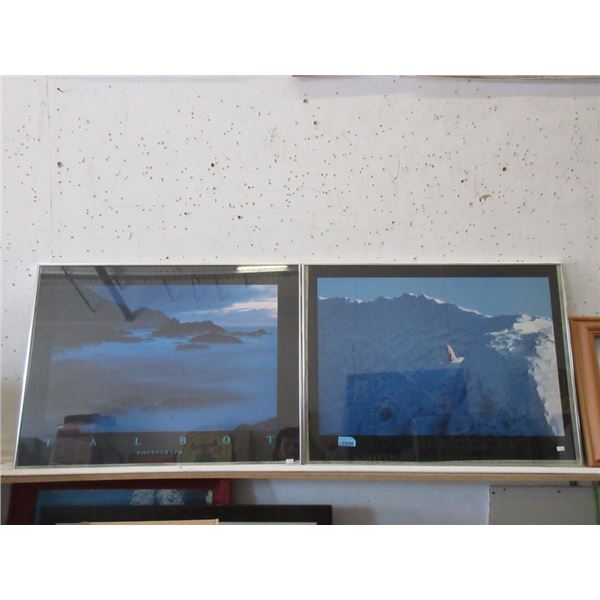 1 Talbot & 1 Brandenburg Framed Poster