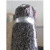 Image 1 : 8' x 10' Charcoal Shag Area Carpet