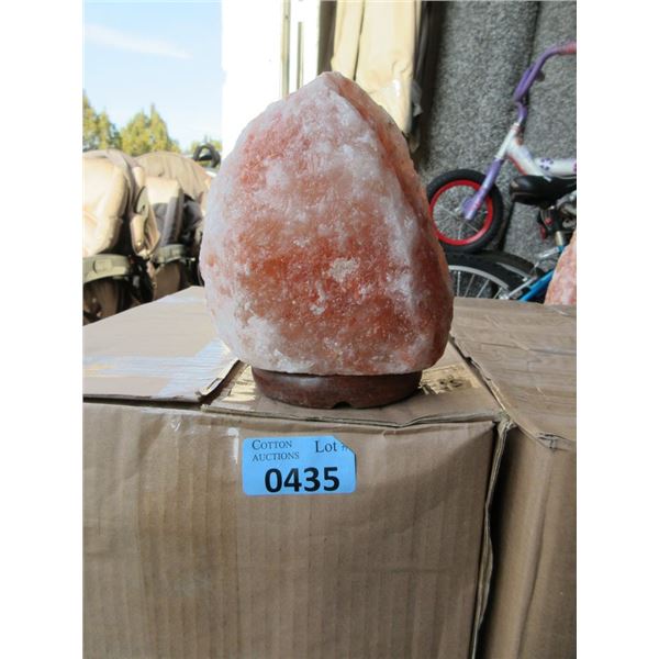 Case of 6 New Himalayan Salt Lamps